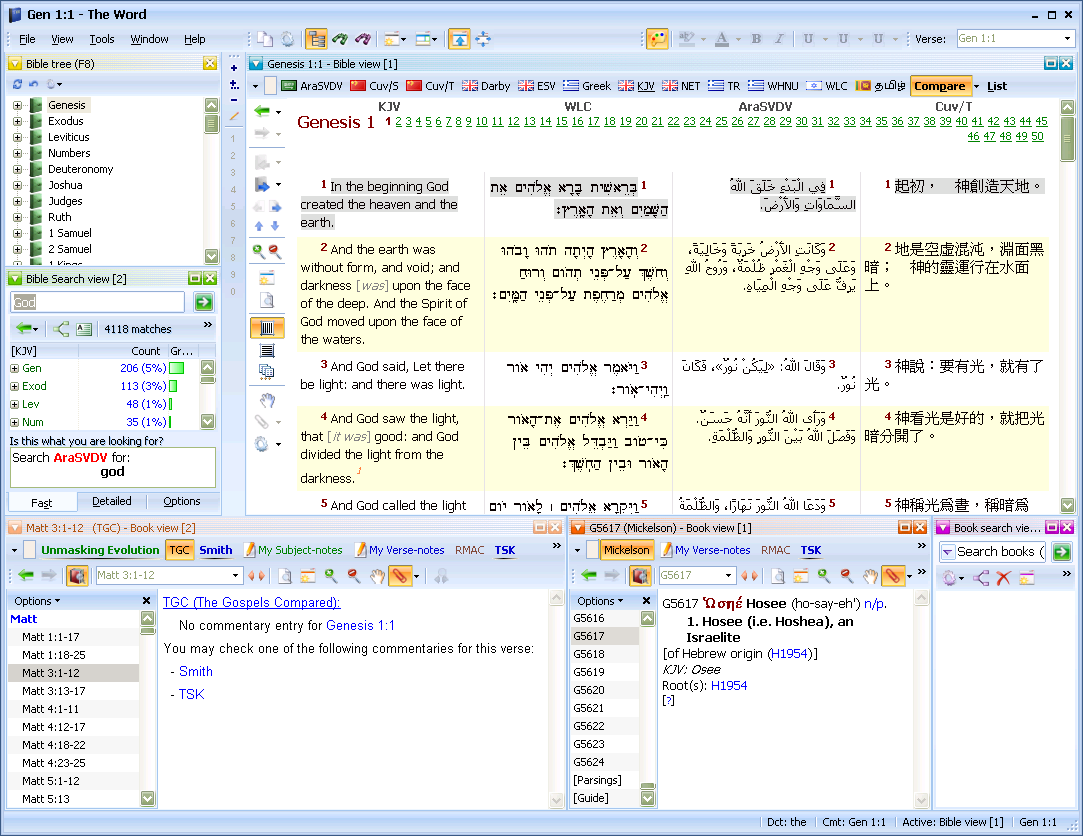 theWord screenshot